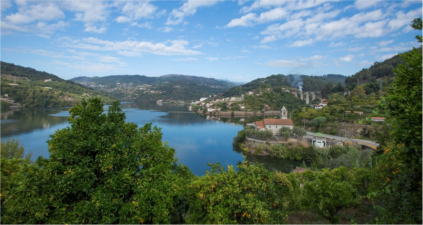 Compre no TOMI os produtos da loja do seu bairro!