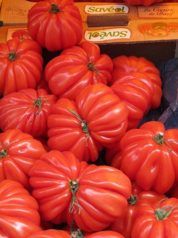 (Português) Tomate coração de boi