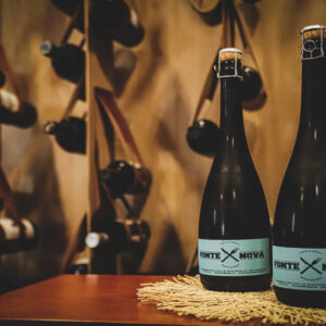 Os melhores vinhos da região