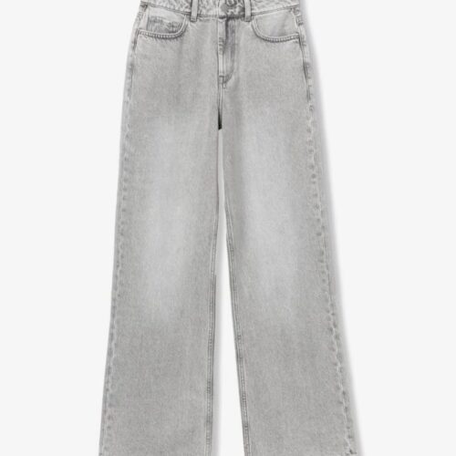 Caças de Ganga - Cinza