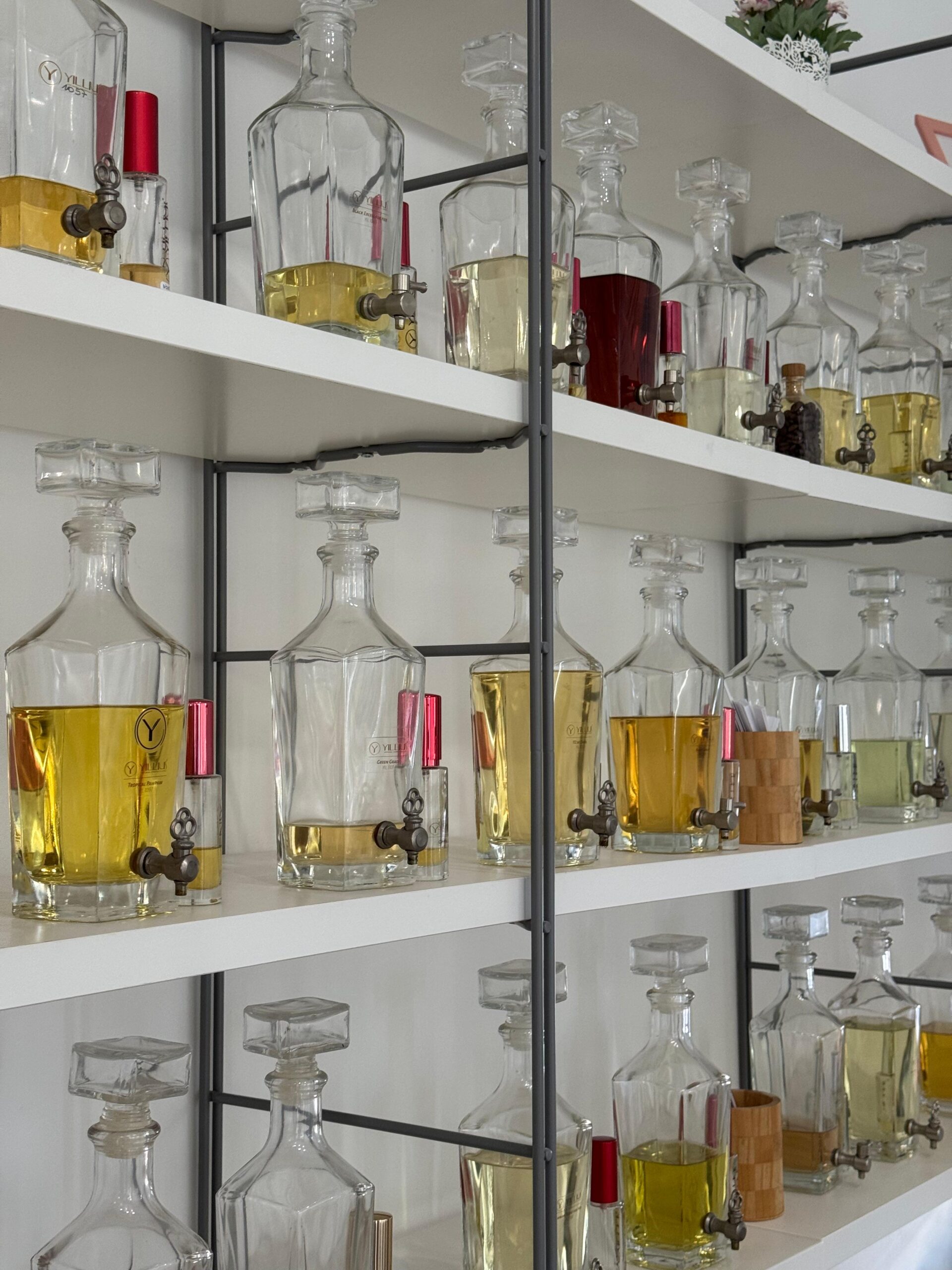 Equivalência Nina Ricci