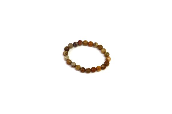 Pulseira Ágata Coral Fóssil (esferas 8mm) (Cópia)