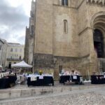 [:pt][:en][:es][:fr][:zh][:]