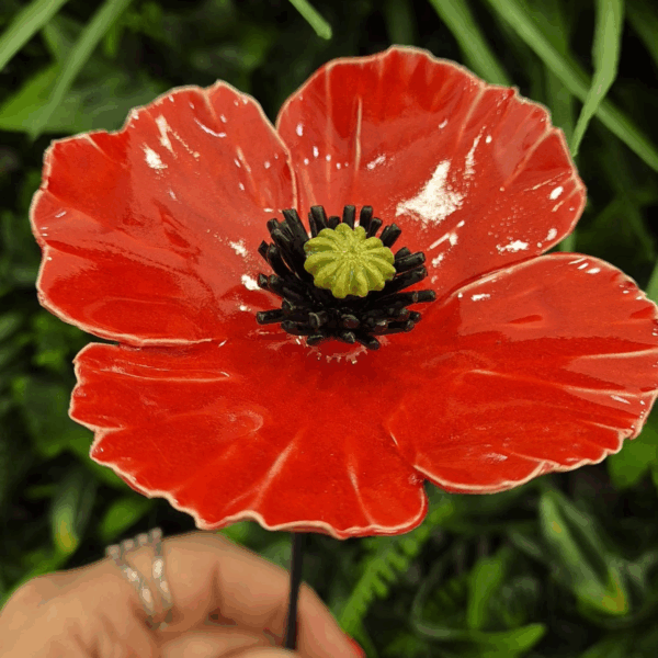 Amapola de cerámica