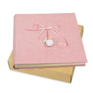 ÁLBUM CLARA ROSA 25X25/24 CÓDIGO: GH154P