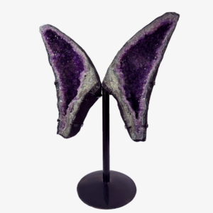 Amatista Mariposa en Drusa Natural | Cuarzo Violeta | Piedra de Transformación y Paz