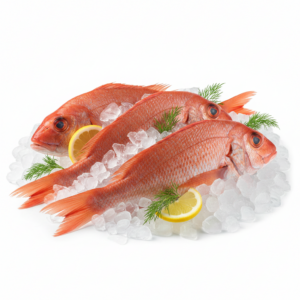 Redfish Congelado