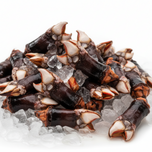 Percebes Frescos