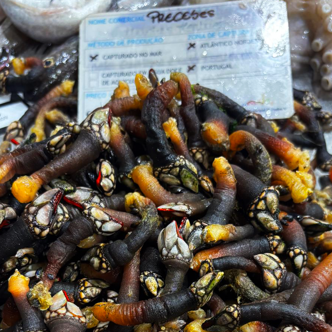 Percebes Frescos - Image 2