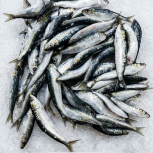 Sardinha Fresca