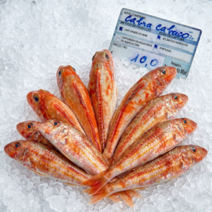 Cabra (Peixe-Cabra)