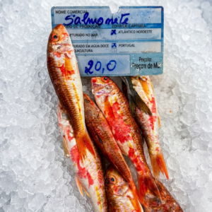 Peixe - Salmonete
