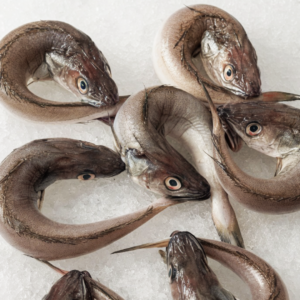 Pescada Fresca com o Rabo na Boca