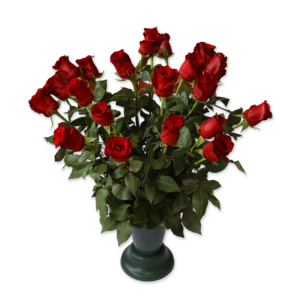 Rose rouge