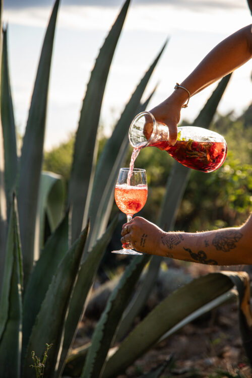 Sangria de Espumante com Frutos Vermelhos