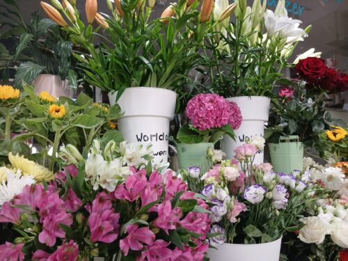 Variedades de Flores