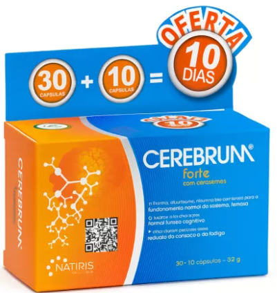 Cerebrum forte âmpolas