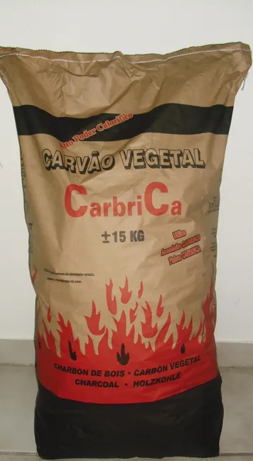 Carvão Vegetal