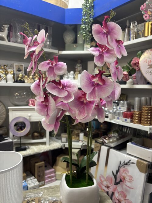 Peça decorativa, vaso em ceramica com orquidea