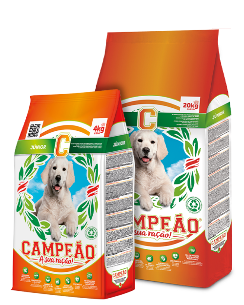 Campeão Adulto