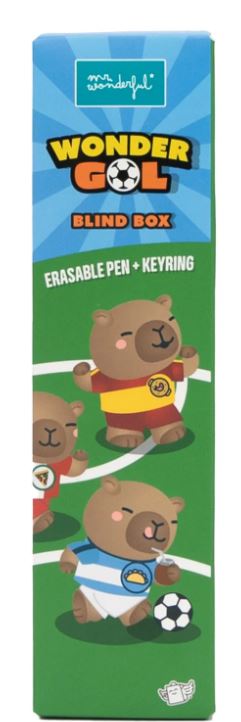 ESFEROGRAFICA APAGAVEL MR WONDERFUL WONDER GOL - SELECOES