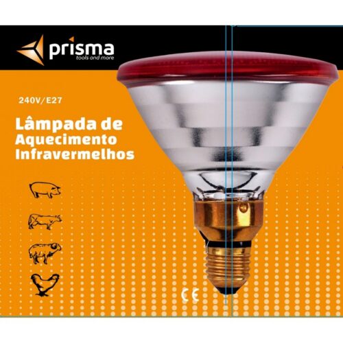 Lâmpada Aquecimento 100W (Cópia)