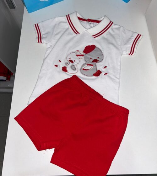 Conjunto com Estampagem de Patinhos
