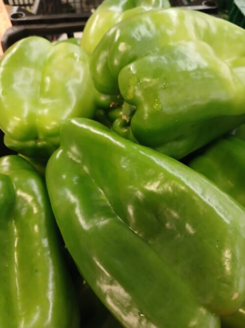 Pimentos verdes