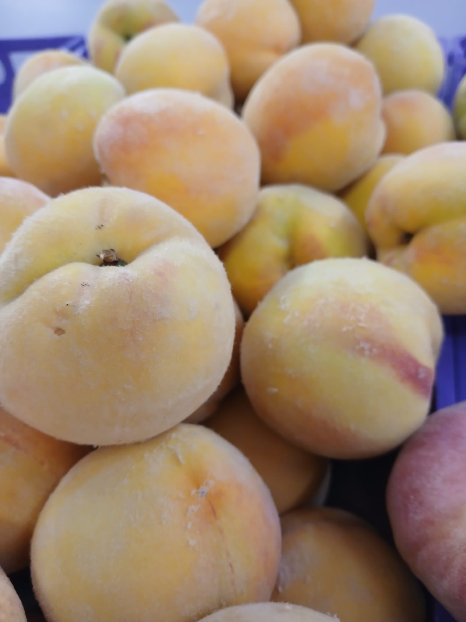 Pêssegos (amarelos)