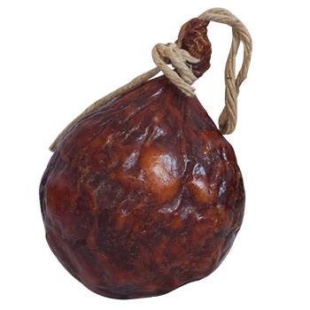 Bexiga de ossos