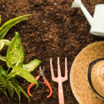 Agricultura e Jardim