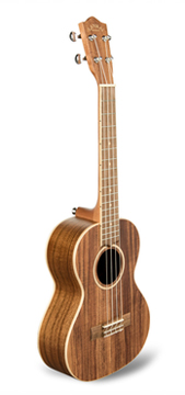 Ukulele