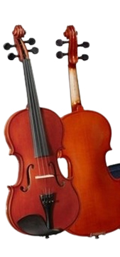 Violino