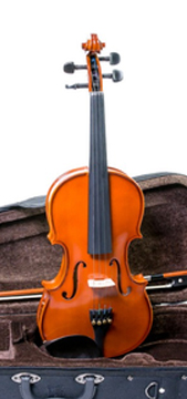 Violino