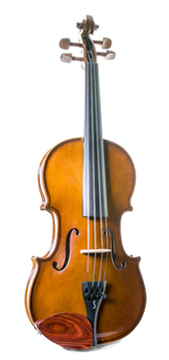 Violino