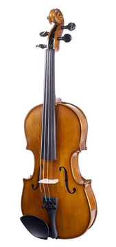 Violino