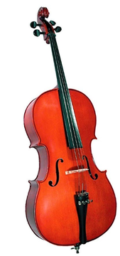 Violoncelo