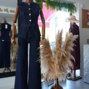 Conjunto ganga
