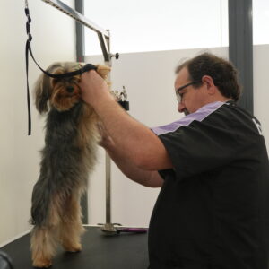 PRICE LIST FOR BATHING & GROOMING