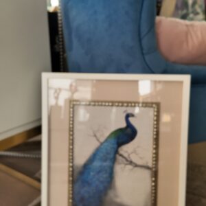 Moldura Decorativa com Pavão