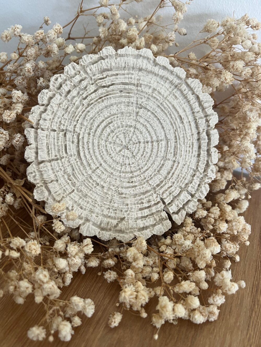 Tronco da Vida - Imagen 2