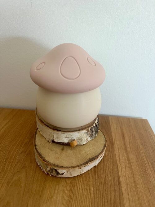 Cogumelo de Outono "Tufi"