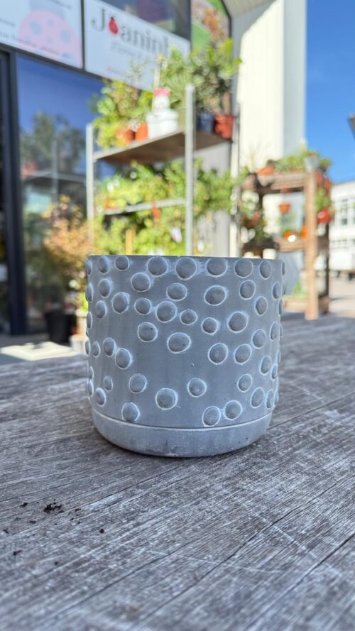 Vaso