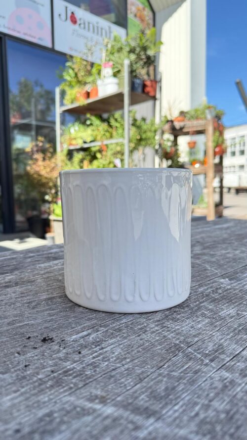 Vaso Branco