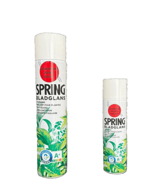 Abrilhantador para flores naturais