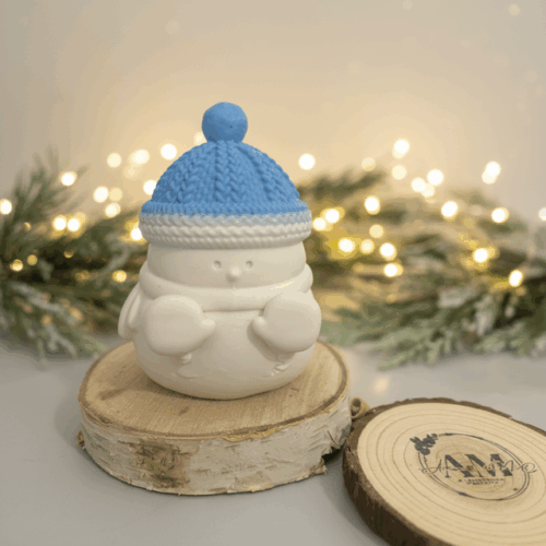 Bonequinho de Inverno