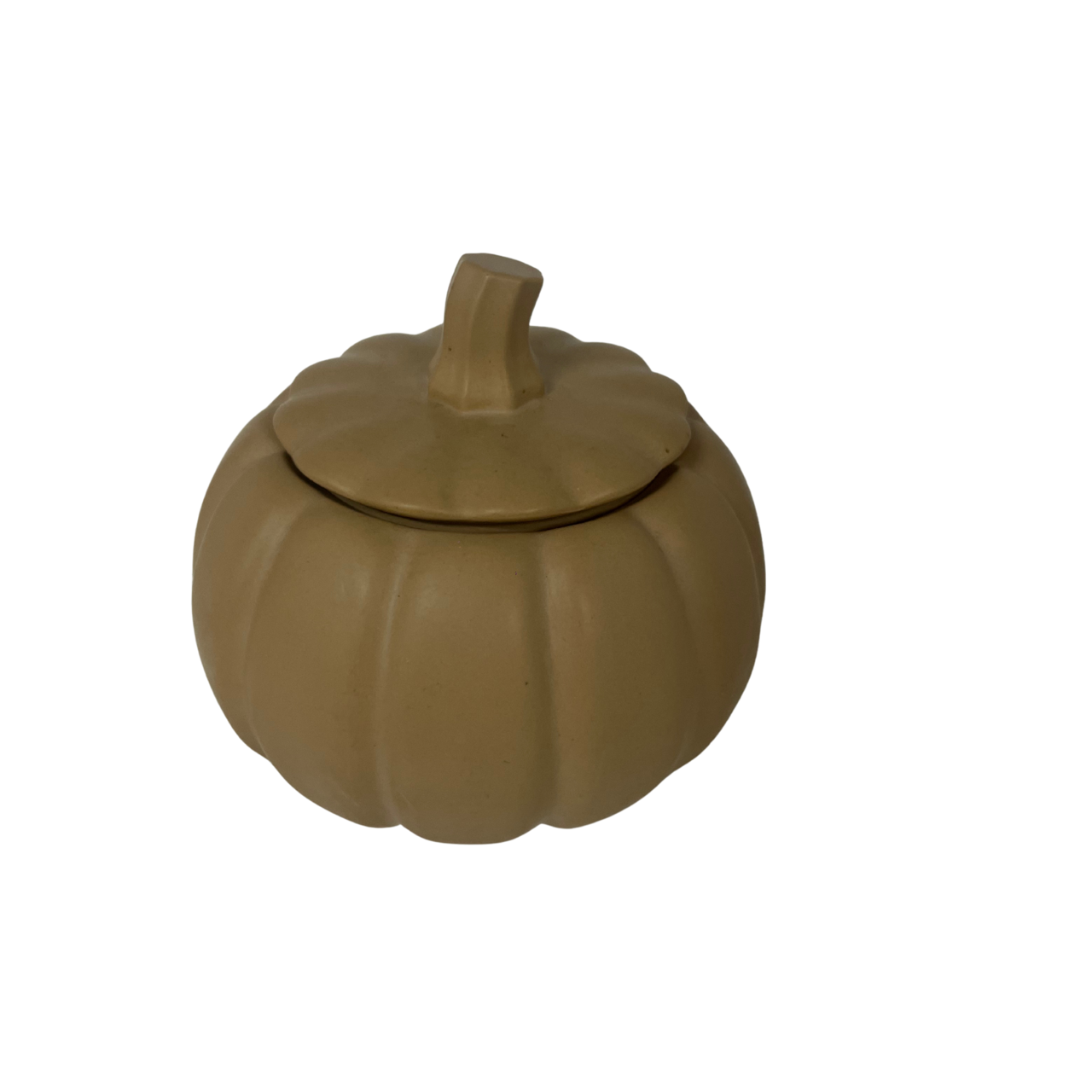 Caixa Decorativa Abóbora em Jesmonite - Image 14