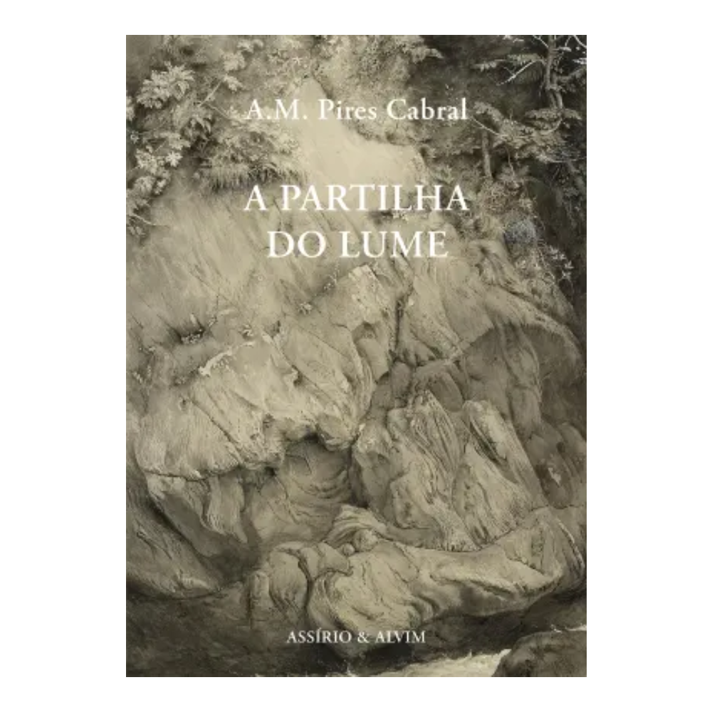 A partilha do lume de A.M. Pires Cabral