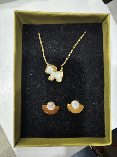 Conjunto Colar e Brincos