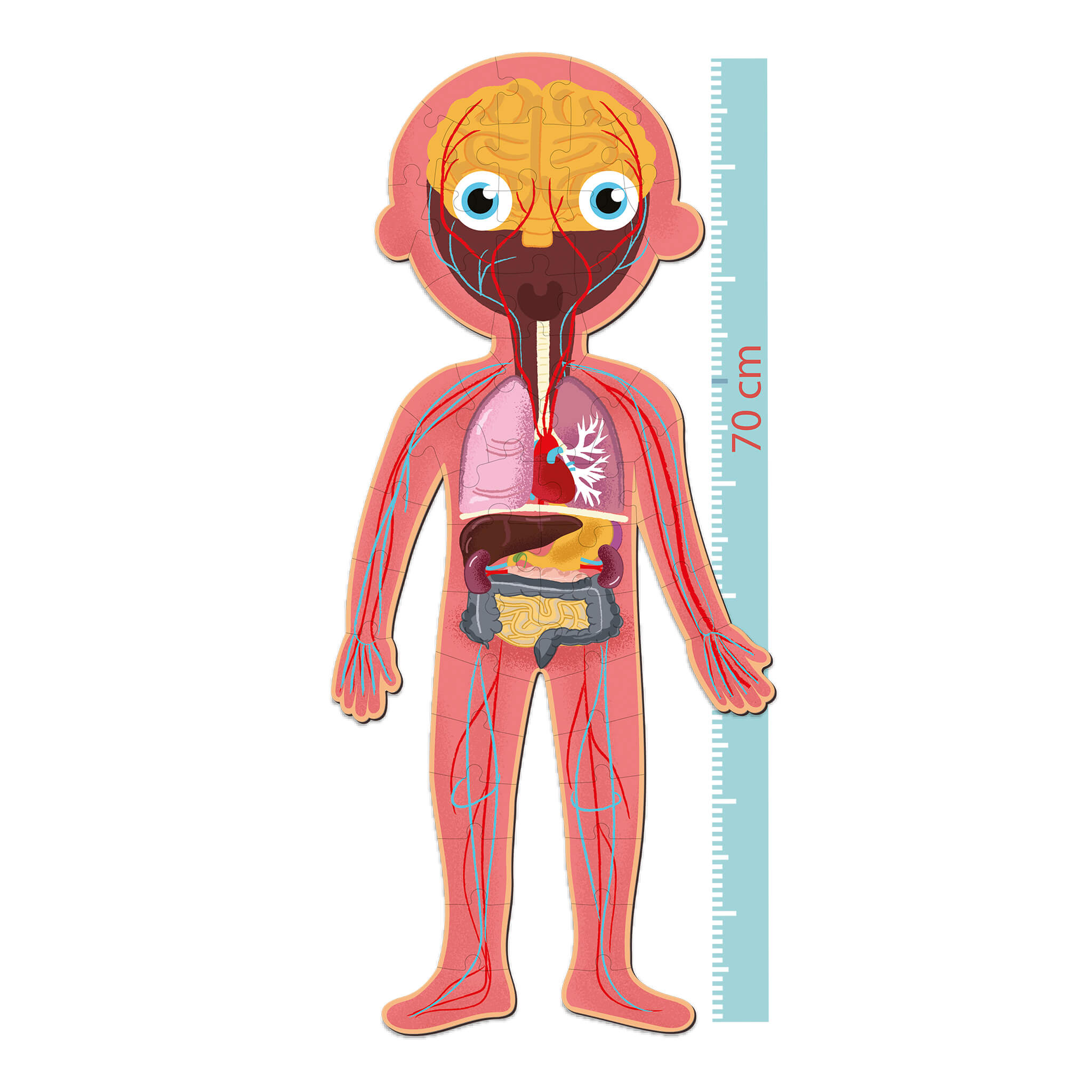Puzzle Educativo Corpo Humano - Image 5